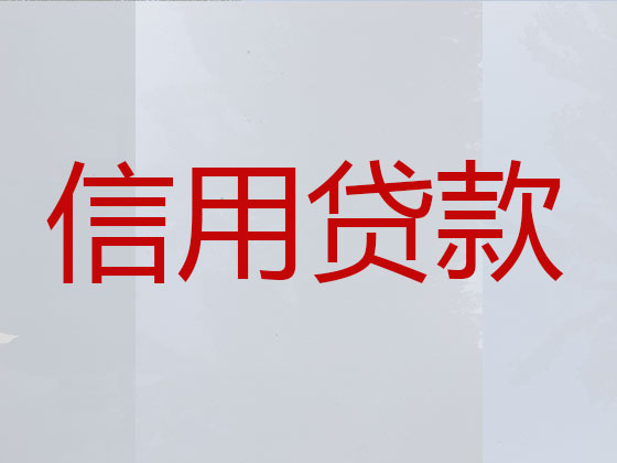 日土县贷款中介-银行信用贷款